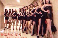 中国夜场伴游招聘(招聘高端伴游一天20万)